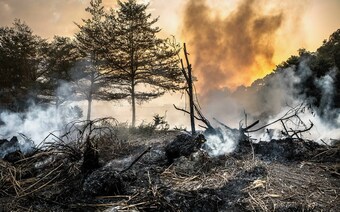 Оценка ущерба после стихийного бедствия в Ставрополе: отчет оценщика